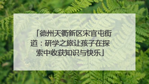 德州天衢新区宋官屯街道：研学之旅让孩子在探索中收获知识与快乐