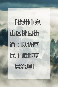 徐州市泉山区桃园街道：以协商民主赋能基层治理