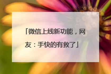 微信上线新功能，网友：手快的有救了