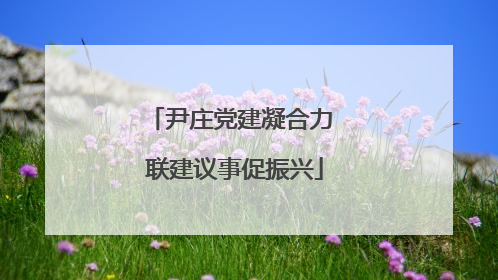 尹庄党建凝合力 联建议事促振兴