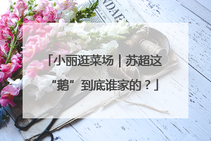 小丽逛菜场｜苏超这“鹅”到底谁家的？