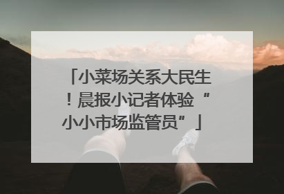 小菜场关系大民生！晨报小记者体验“小小市场监管员”