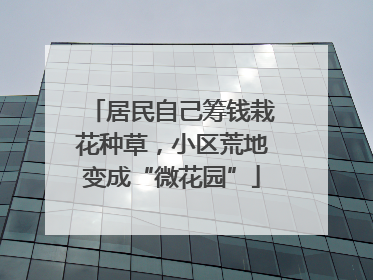 居民自己筹钱栽花种草，小区荒地变成“微花园”