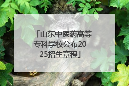 山东中医药高等专科学校公布2025招生章程