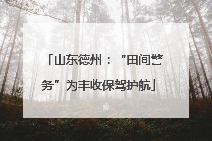 山东德州：“田间警务”为丰收保驾护航
