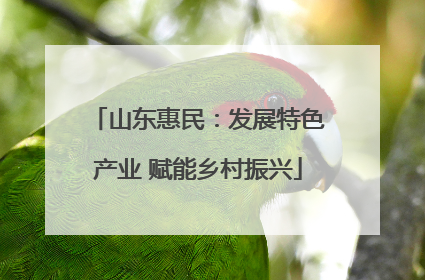 山东惠民：发展特色产业 赋能乡村振兴