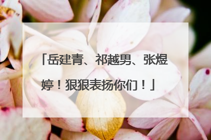岳建青、祁越男、张煜婷！狠狠表扬你们！