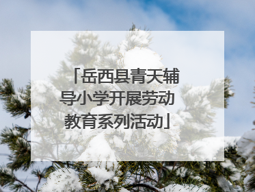 岳西县青天辅导小学开展劳动教育系列活动