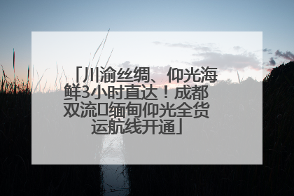 川渝丝绸、仰光海鲜3小时直达！成都双流⇌缅甸仰光全货运航线开通