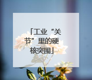 工业“关节”里的硬核突围