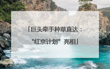 巨头牵手种草直达：“红京计划”亮相