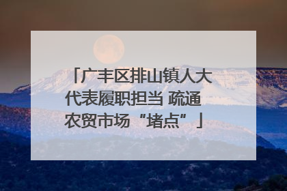 广丰区排山镇人大代表履职担当 疏通农贸市场“堵点”