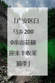 广安区白马乡2000余亩花椒迎来丰收采摘季