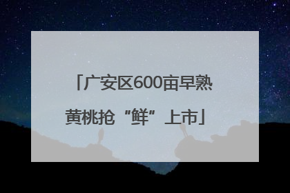 广安区600亩早熟黄桃抢“鲜”上市