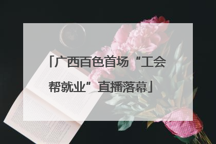 广西百色首场“工会帮就业”直播落幕