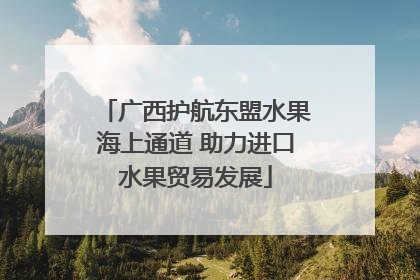 广西护航东盟水果海上通道 助力进口水果贸易发展