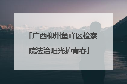 广西柳州鱼峰区检察院法治阳光护青春