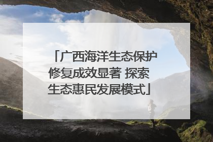 广西海洋生态保护修复成效显著 探索生态惠民发展模式