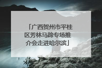 广西贺州市平桂区芳林马蹄专场推介会走进哈尔滨