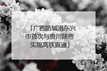 广西防城港东兴市首次与贵川陕粤实现高铁直通