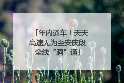 年内通车！天天高速无为至安庆段全线“洞”通