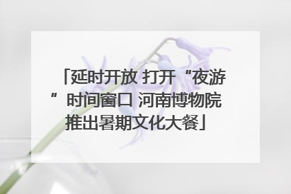 延时开放 打开“夜游”时间窗口 河南博物院推出暑期文化大餐