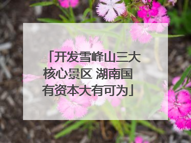 开发雪峰山三大核心景区 湖南国有资本大有可为