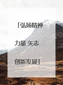 弘扬精神力量 矢志创新发展