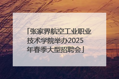 张家界航空工业职业技术学院举办2025年春季大型招聘会