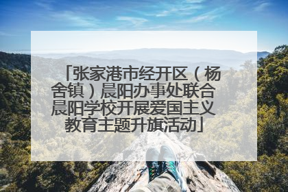 张家港市经开区（杨舍镇）晨阳办事处联合晨阳学校开展爱国主义教育主题升旗活动