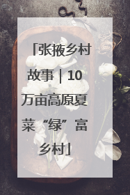 张掖乡村故事｜10万亩高原夏菜“绿”富乡村