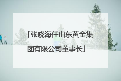张晓海任山东黄金集团有限公司董事长
