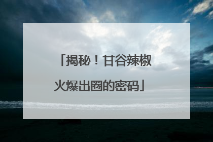 揭秘！甘谷辣椒火爆出圈的密码