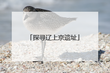 探寻辽上京遗址