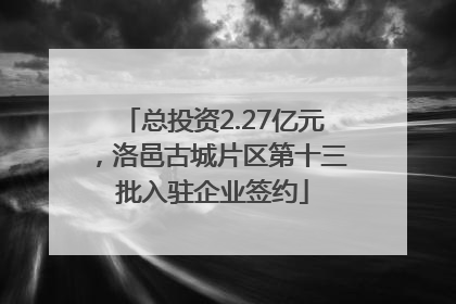 总投资2.27亿元，洛邑古城片区第十三批入驻企业签约