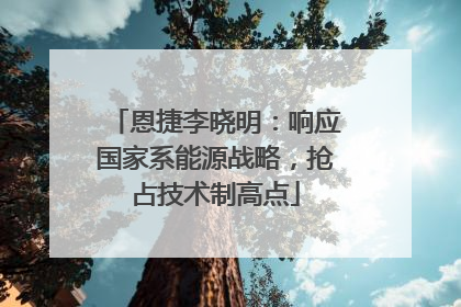 恩捷李晓明：响应国家系能源战略，抢占技术制高点