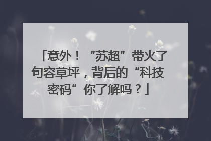 意外！“苏超”带火了句容草坪，背后的“科技密码”你了解吗？