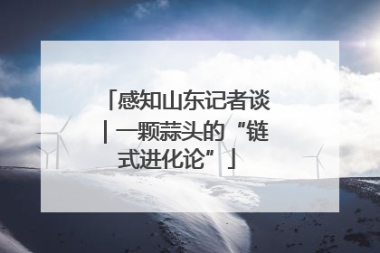 感知山东记者谈｜一颗蒜头的“链式进化论”