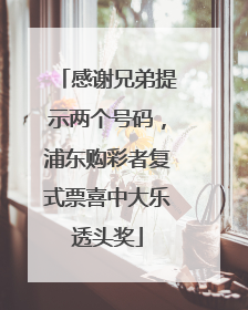 感谢兄弟提示两个号码，浦东购彩者复式票喜中大乐透头奖