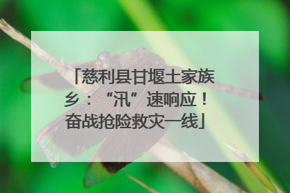 慈利县甘堰土家族乡：“汛”速响应！奋战抢险救灾一线