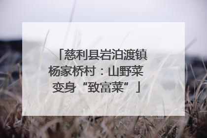 慈利县岩泊渡镇杨家桥村：山野菜变身“致富菜”