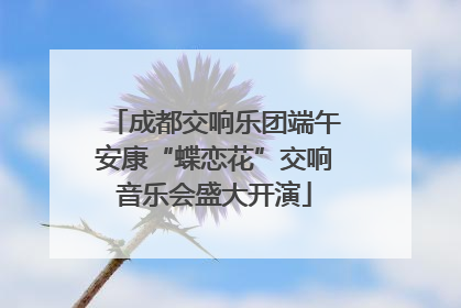 成都交响乐团端午安康“蝶恋花”交响音乐会盛大开演