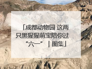 成都动物园 这两只黑猩猩萌宝陪你过“六一”｜图集