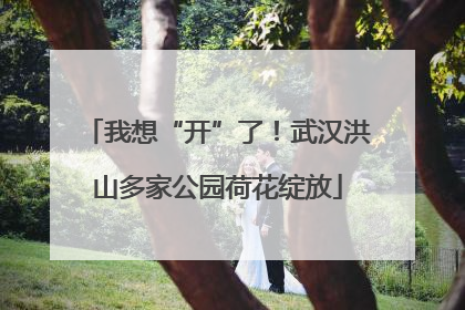 我想“开”了！武汉洪山多家公园荷花绽放