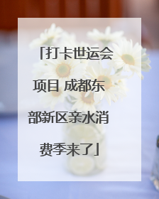 打卡世运会项目 成都东部新区亲水消费季来了