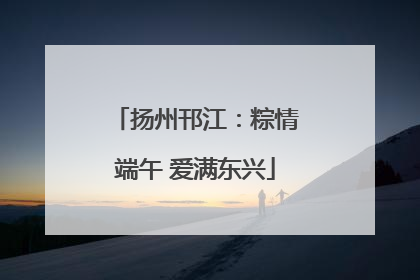 扬州邗江：粽情端午 爱满东兴