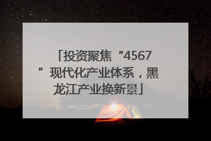 投资聚焦“4567”现代化产业体系，黑龙江产业换新景