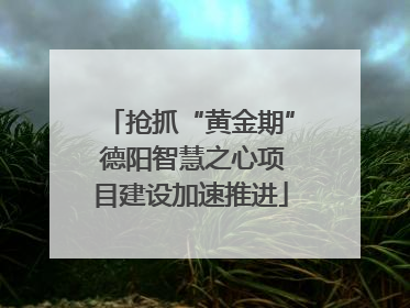 抢抓“黄金期” 德阳智慧之心项目建设加速推进