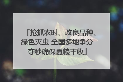 抢抓农时、改良品种、绿色灭虫 全国多地争分夺秒确保夏粮丰收