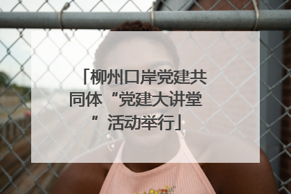 柳州口岸党建共同体“党建大讲堂”活动举行